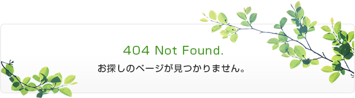 404 Not Found